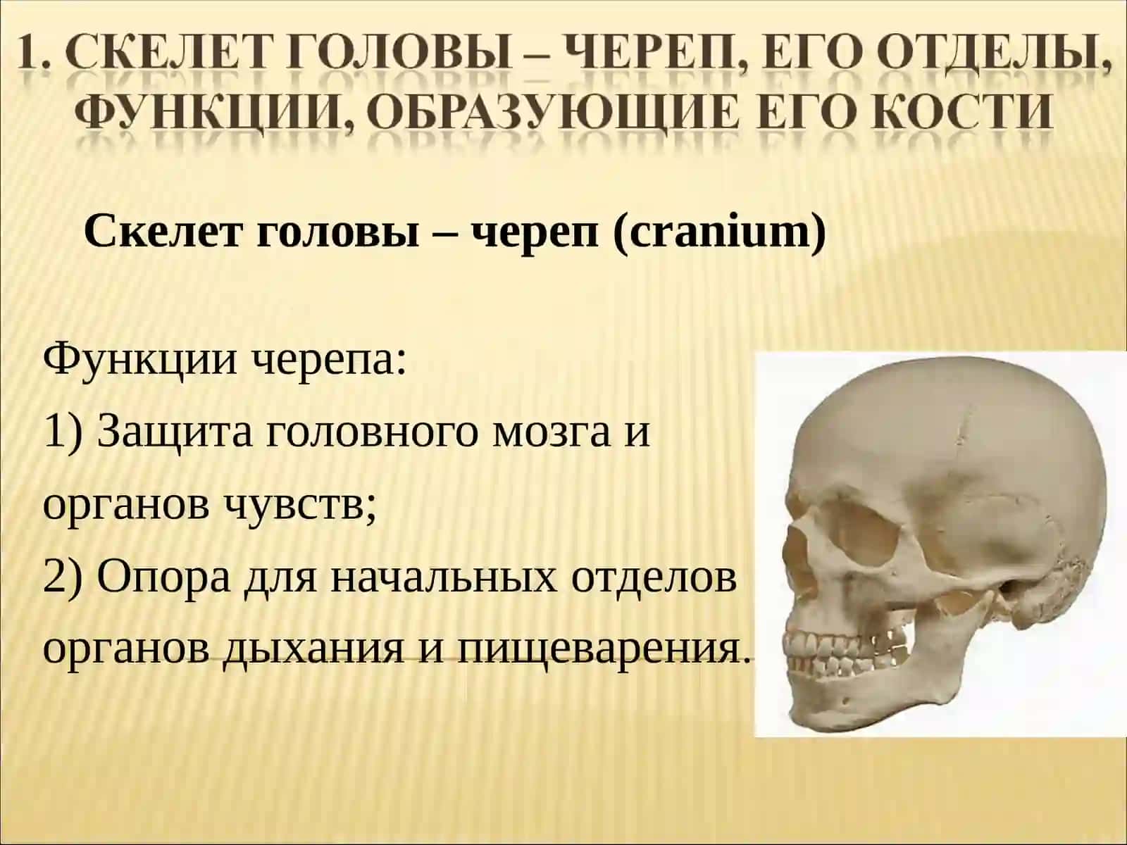 ТАШКЕНТСКИЙ МЕЖДУНАРОДНЫЙ УНИВЕРСИТЕТ КИМЁ 2