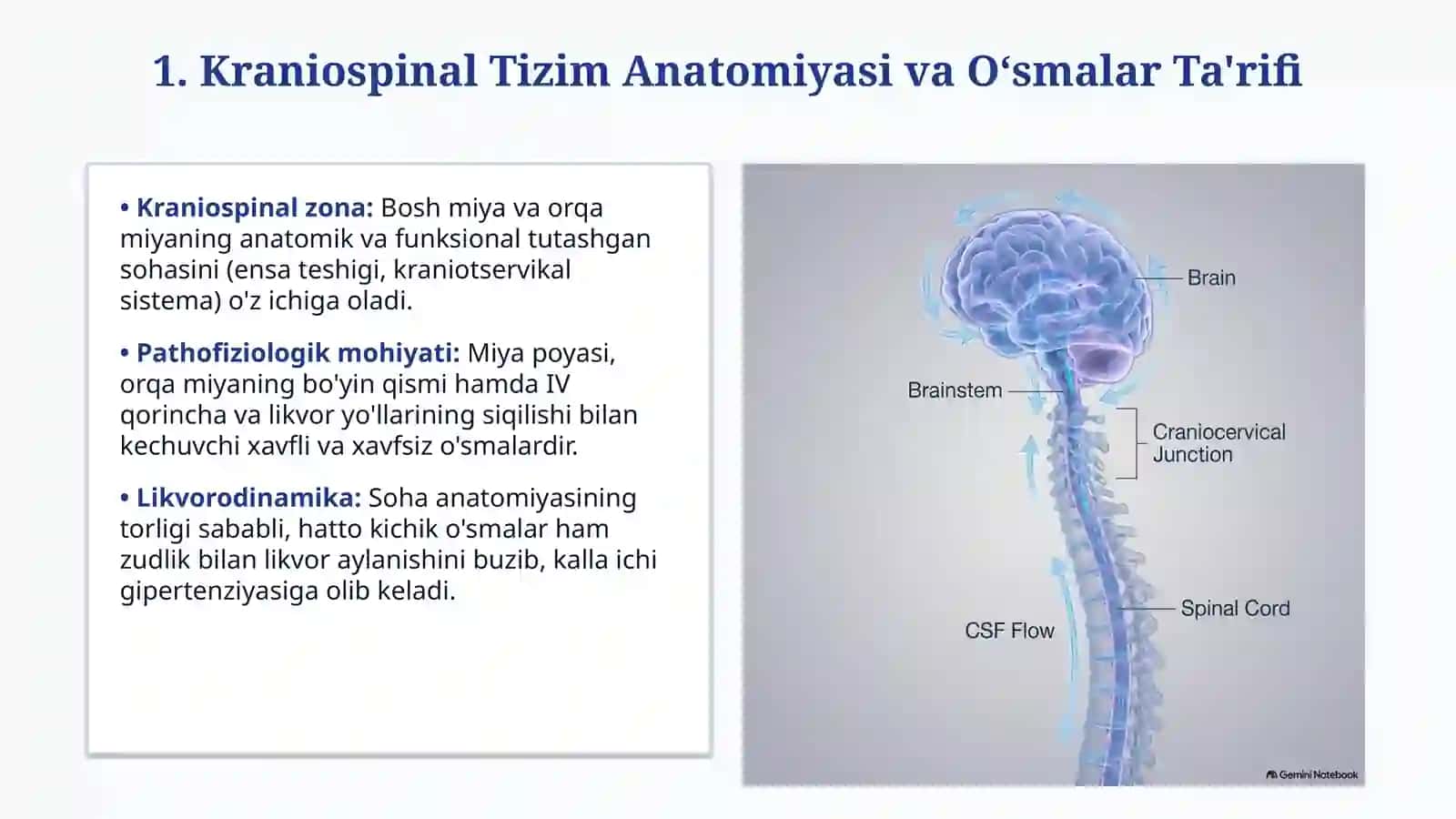 Kraniospinal o‘smalar — 15 slaydli tayyor taqdimot 2