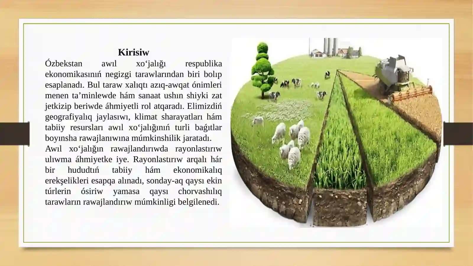 Ózbekstan awıl xo‘jalığı rayonları 2