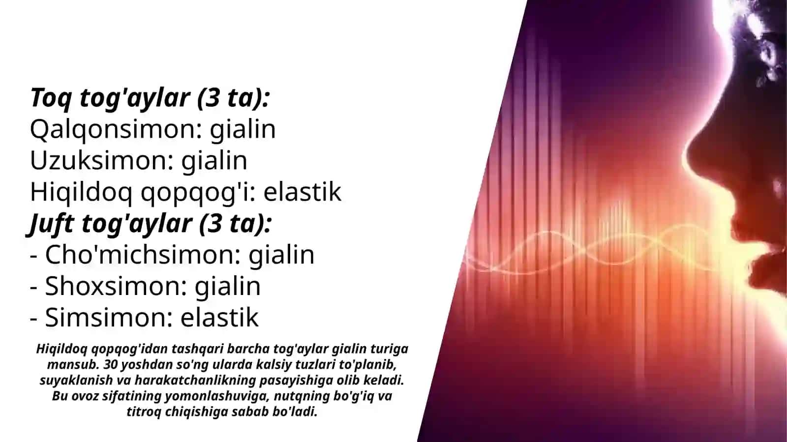 Hiqildoq tog'aylari (3-qism) 2