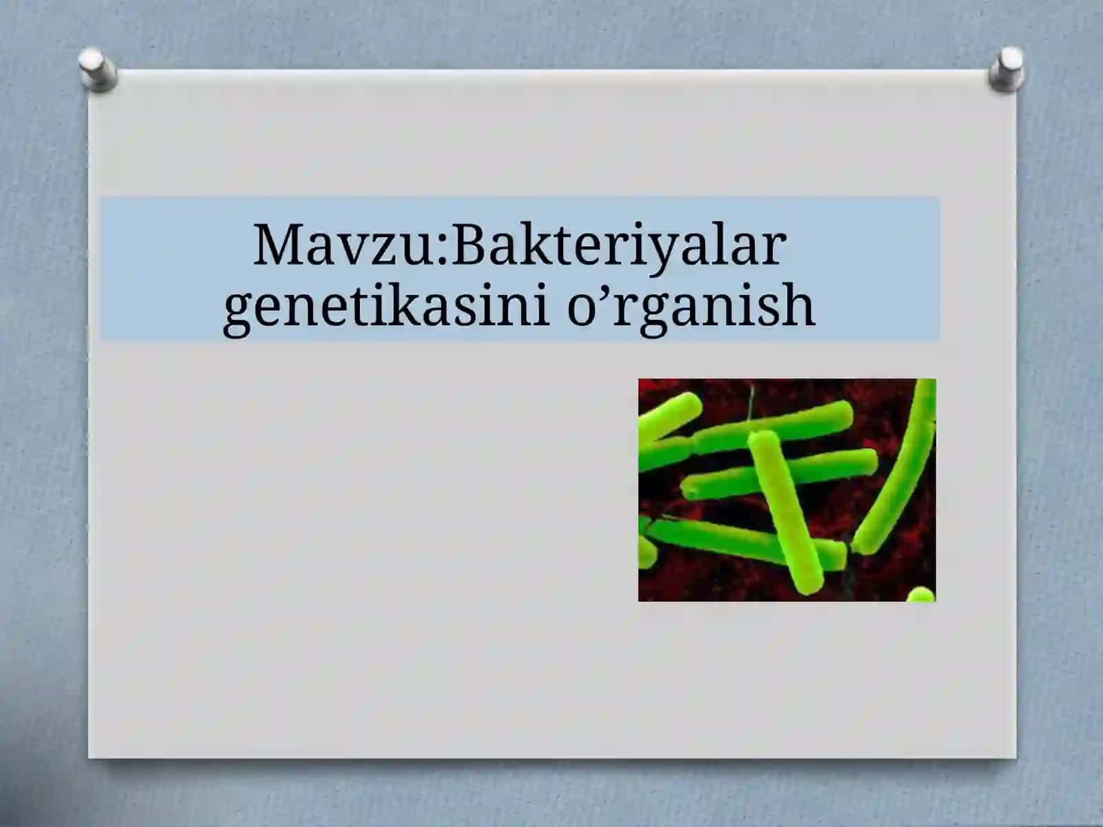 Bakteriyalar genetikasini o'rganish 2