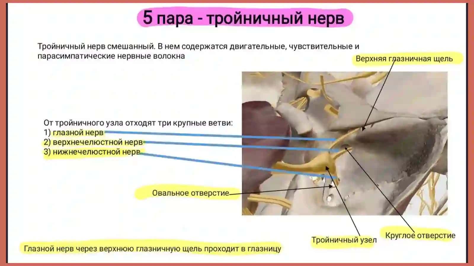 Тройничный нерв 2