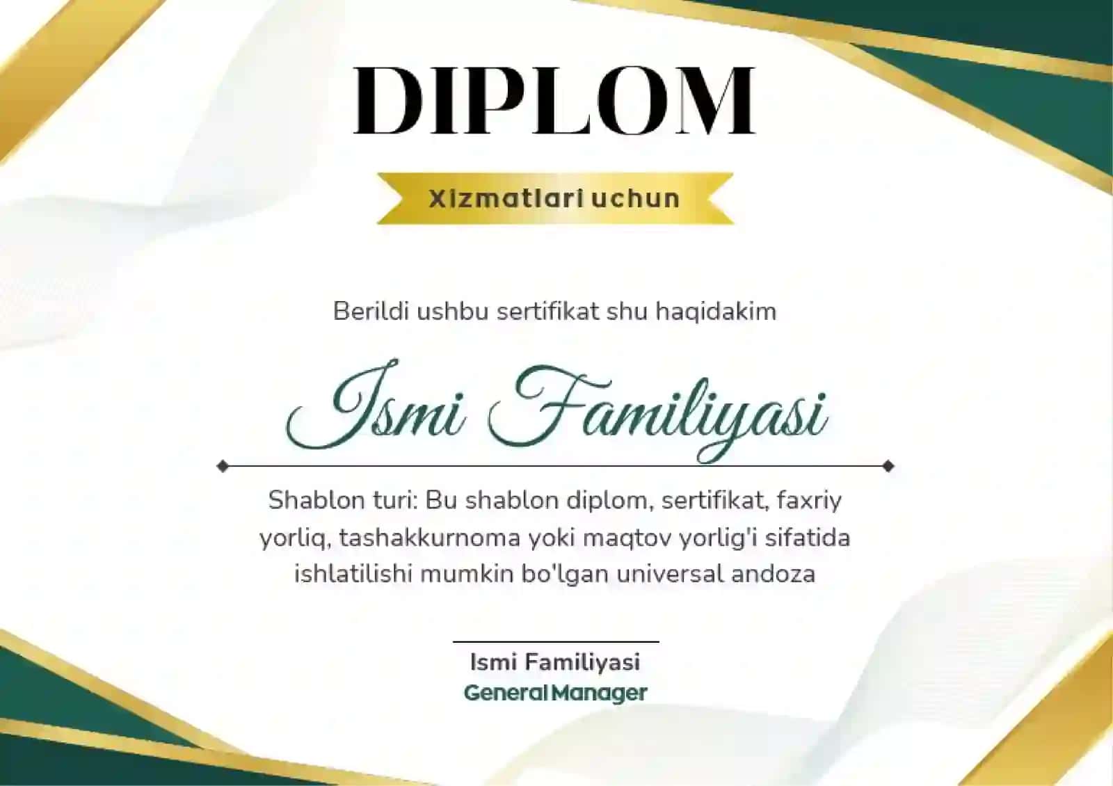DIPLOM 2