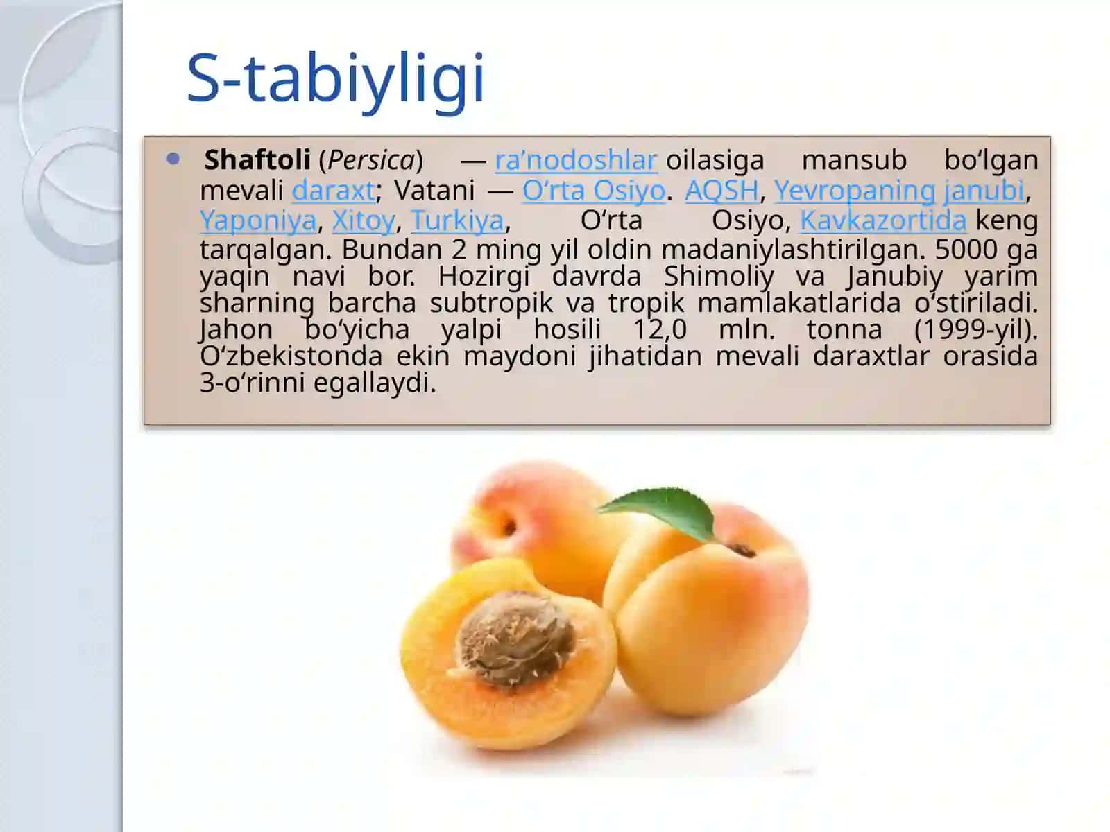 Shaftoli 2