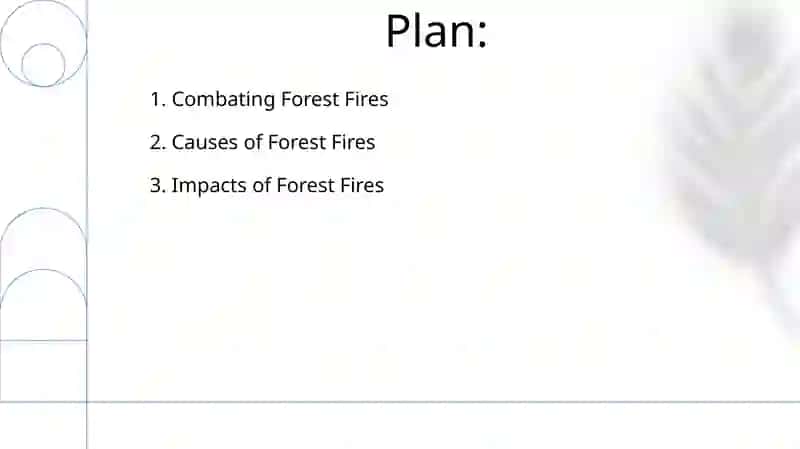 Forest fires 2