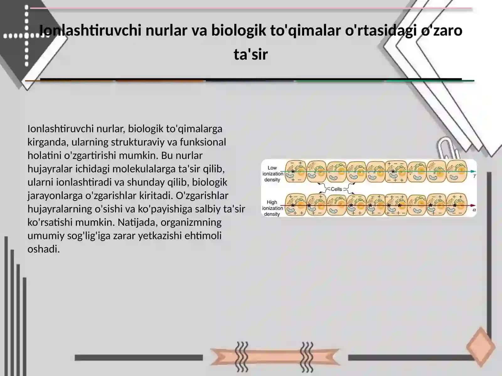 Ionlashtiruvchi nurlar biologik to'qimalarga ta'siri 2