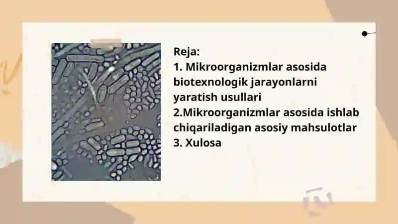 Mikroorganizmlar asosida biotexnologik jarayonlar yaratish usullari 2