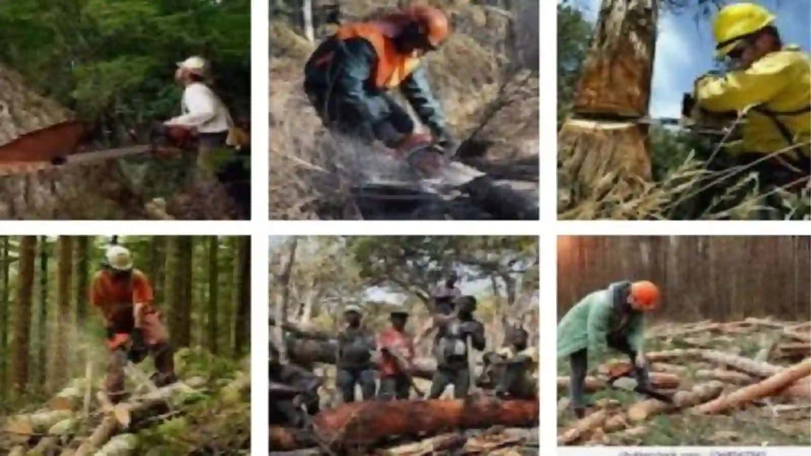 Loggingworkers 2