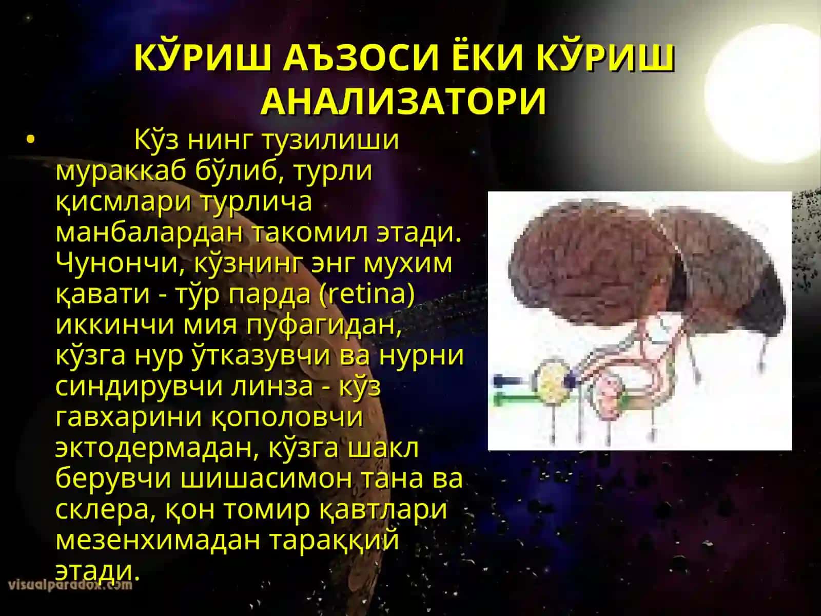 Кўриш аъзолари 2