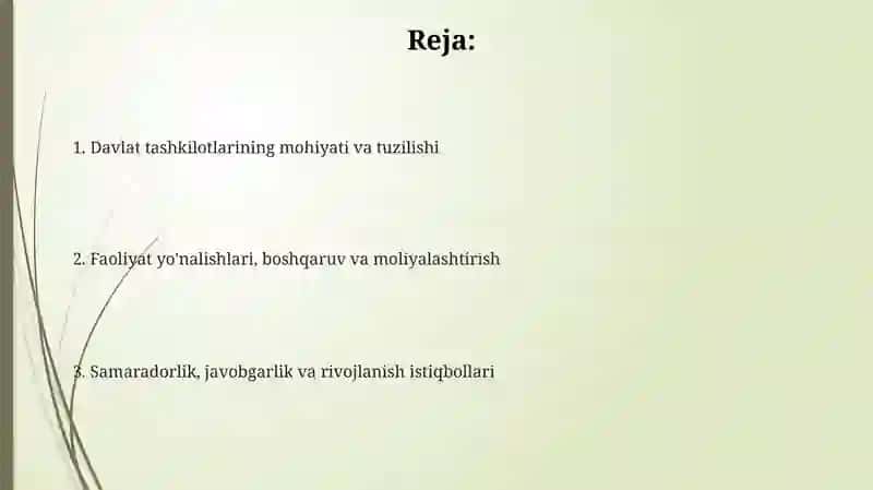 Davlat tashkilotlarining ta'rifi va mohiyati 2