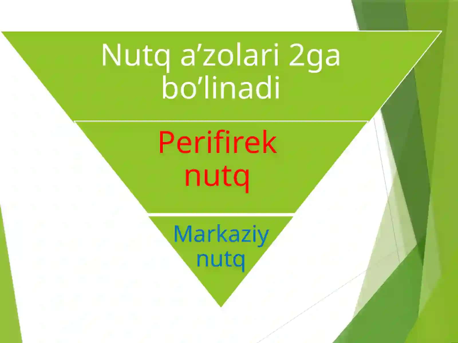 Nutq hosil bo’lish mexanizmlari 2