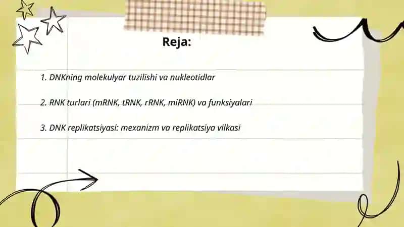 Dnk rnk 2