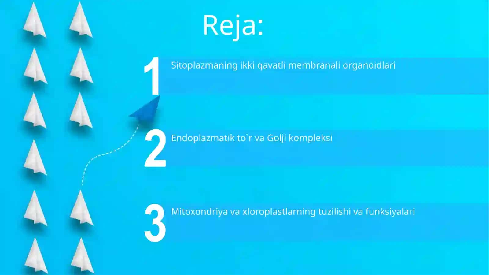 Sitoplazmaning ikki membranali organoidlari 2