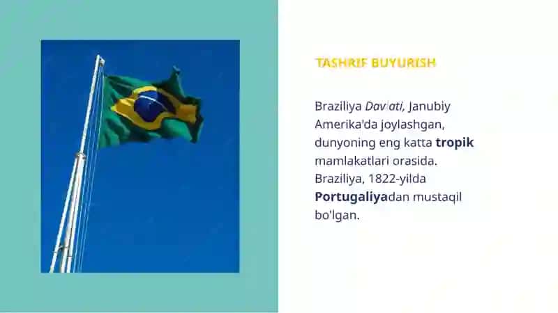 BRAZILIYA DAVLATI: TUNIKADA XALQARO YO'NALISHLAR VA MUSTAQILLIKNING ASOSIY OMILI 2