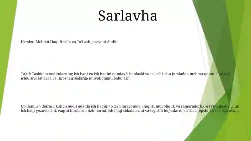 Mehnat Haqi Hisobi Va To‘Lash Jarayoni Auditi 2