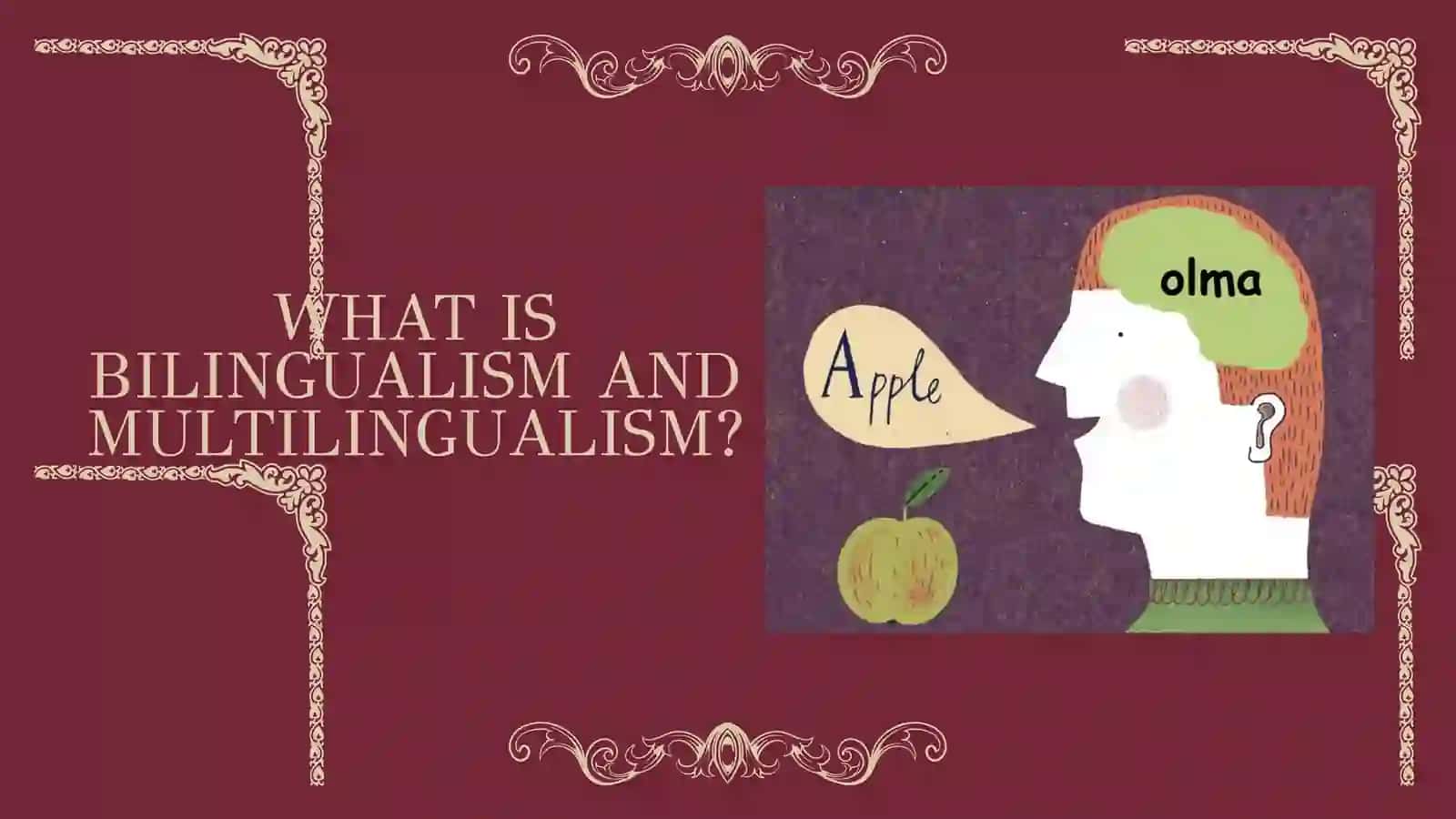 BILINGUALISM & MULTILINGUALISM 2