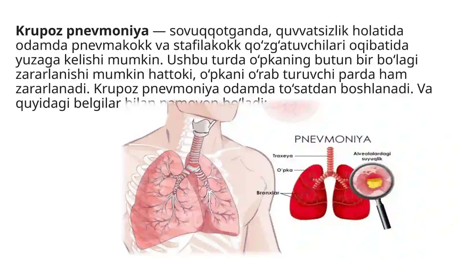 O’pkainfeksiyalari 2
