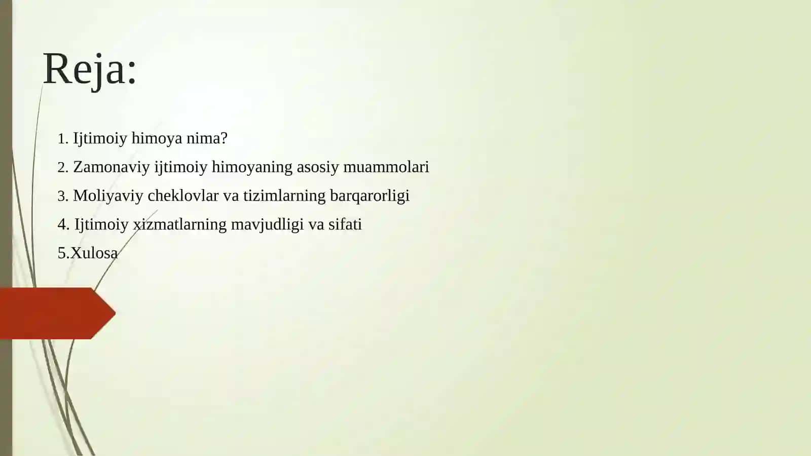 Ijtimoiy himoya qilish muammolari 2