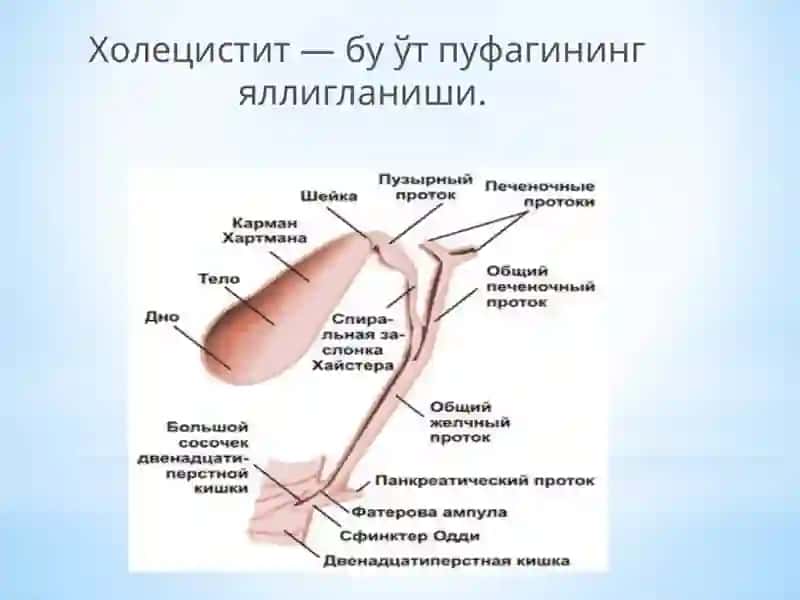 Xolisistit. Sabablari, etiologiyasi va davolash 2
