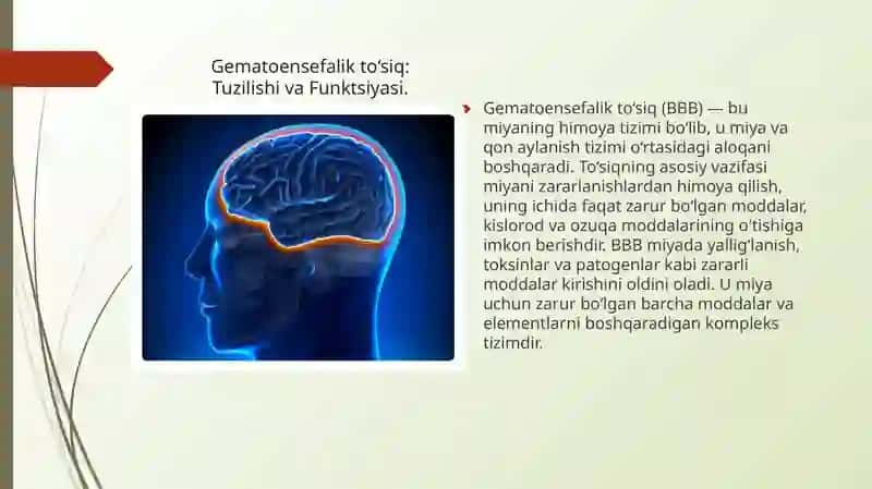 Gematoensefalik to’siq gistofiziologiyasi 2