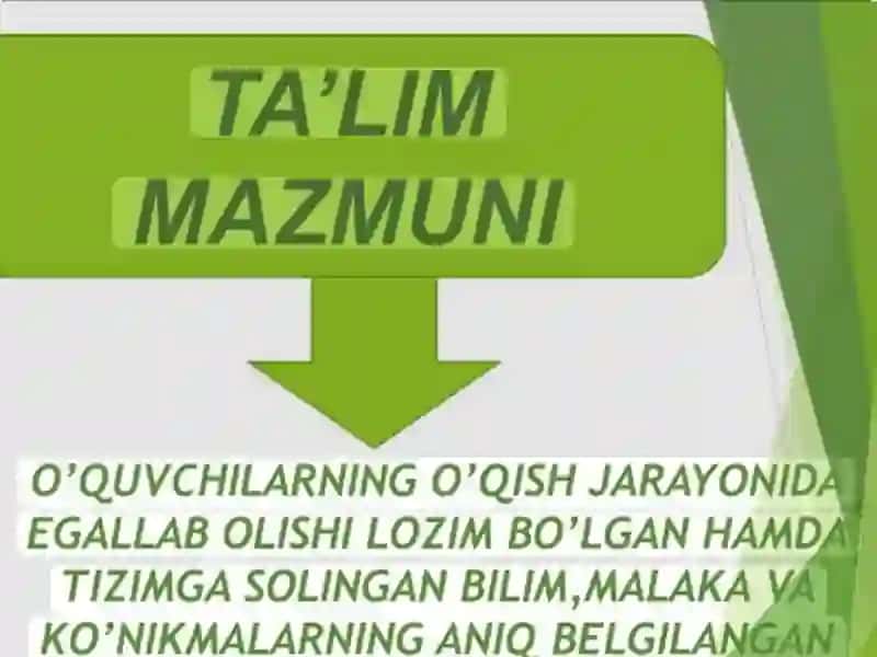 Ta’lim 2