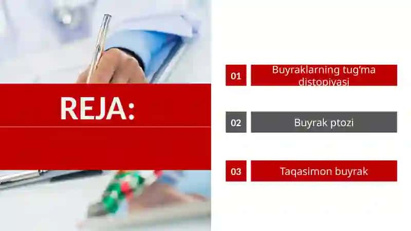 Buyraklarning tug'madi stopiyasi 2