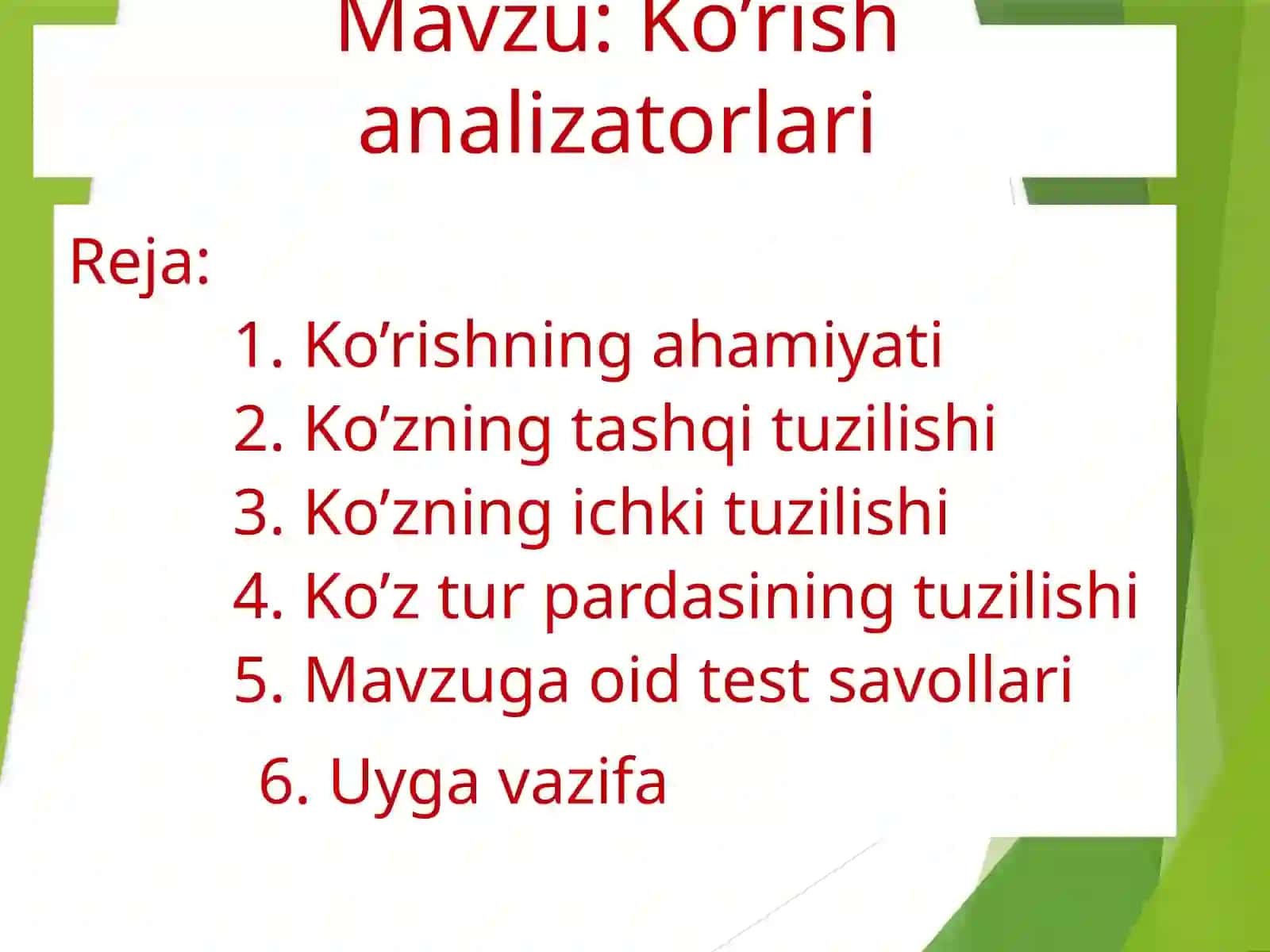 Ko’rish  analizatorlari 2