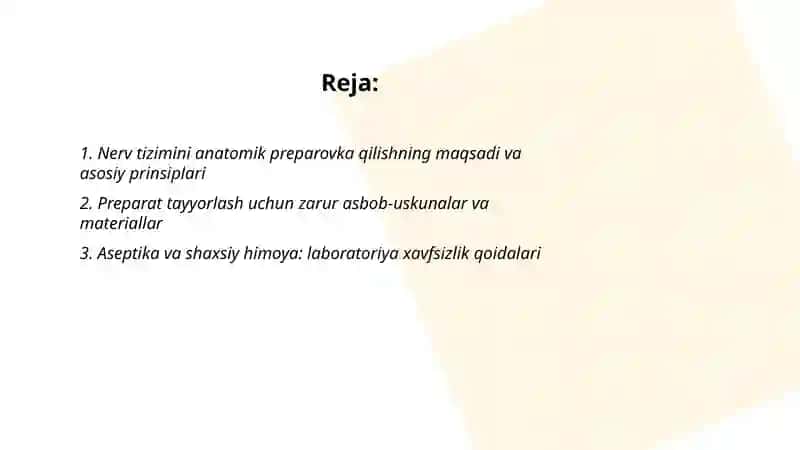 Nerv tizimini anatomik preparovka qilish 2