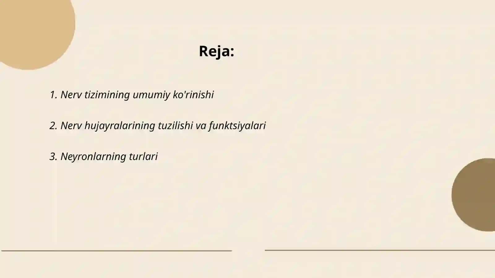 Nerv sistemasining umumiy tuzilishi va yosh xususiyatlari 2
