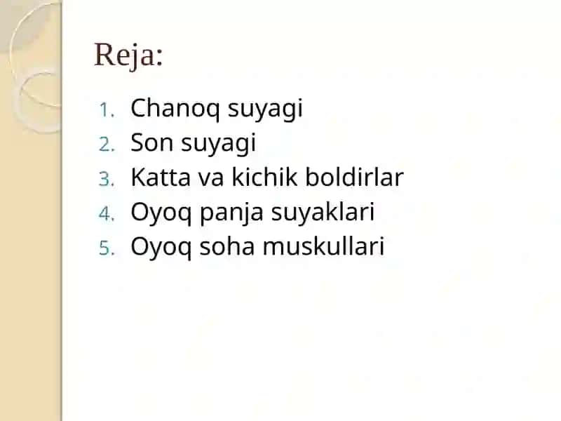 Oyoqanatomiyasi 2