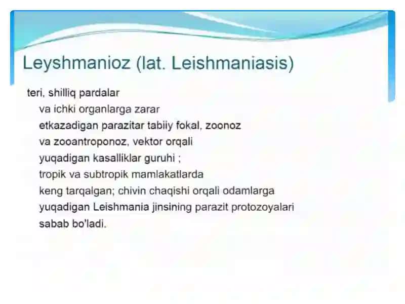 LEYISHMANIOZ 2