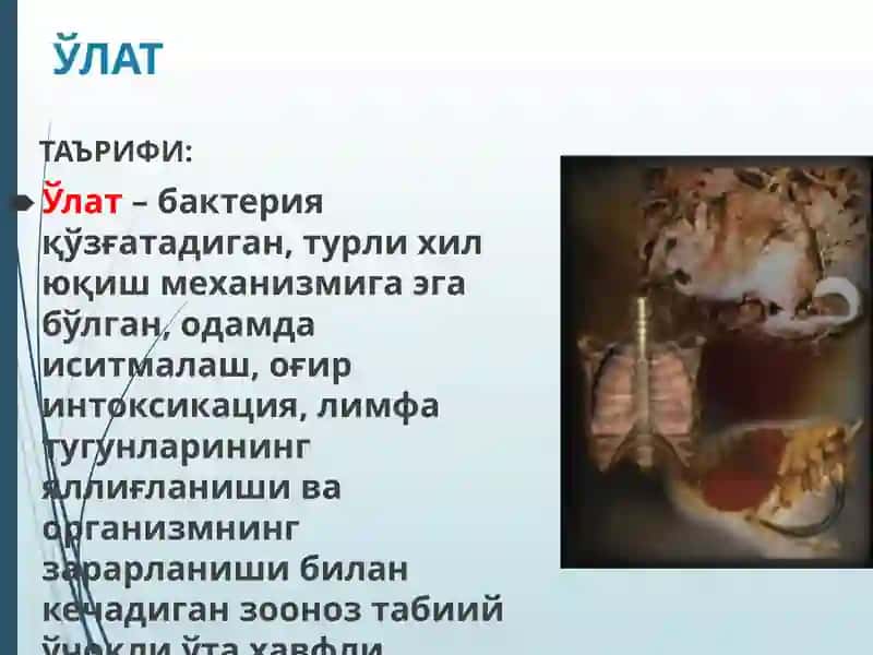 Ўлат 2