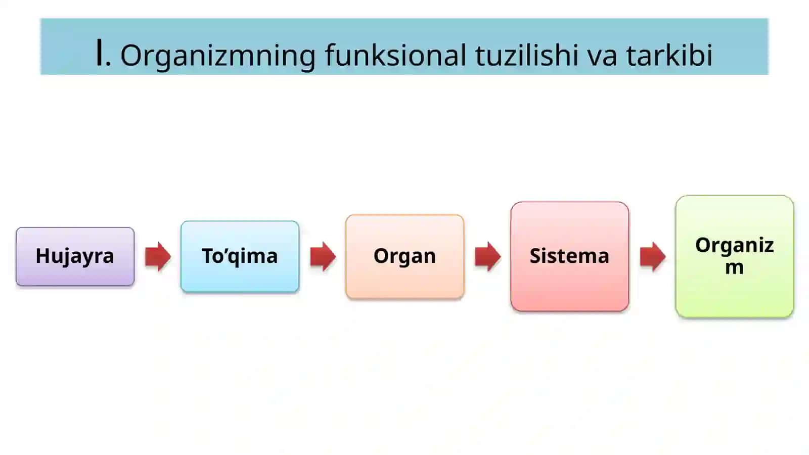 Fiziologiya1 2