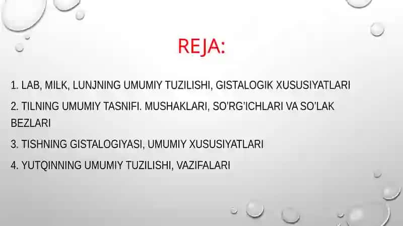 Ovqat ahzm qilish tizimi. og`iz bo`shlig`i gistalogiyasi 2