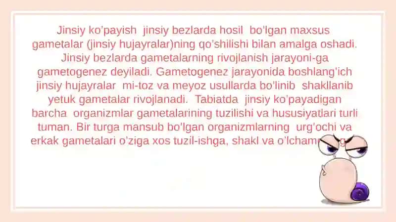 Taqdimot 2