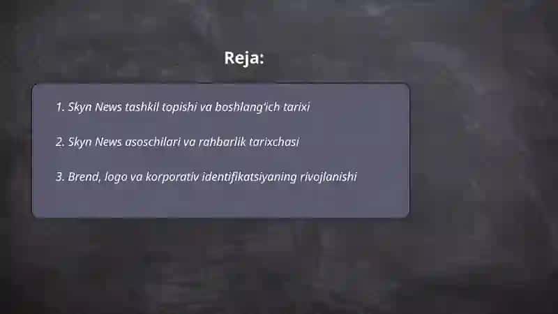 Skyn News tarixi va rivojlanishi 2