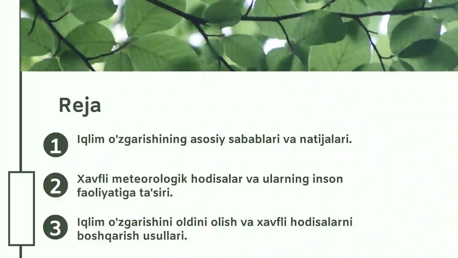 Ekologiya fanidan mustaqil ish taqdimoti 2