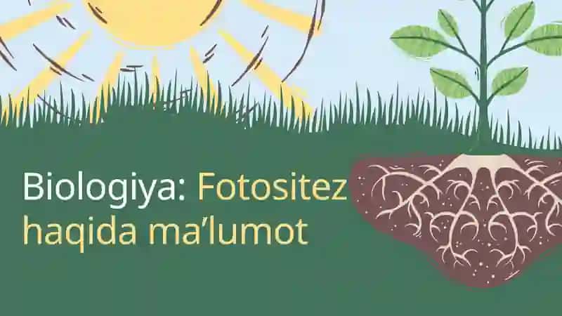 Biologiya Fotositez haqida ma’lumot 2
