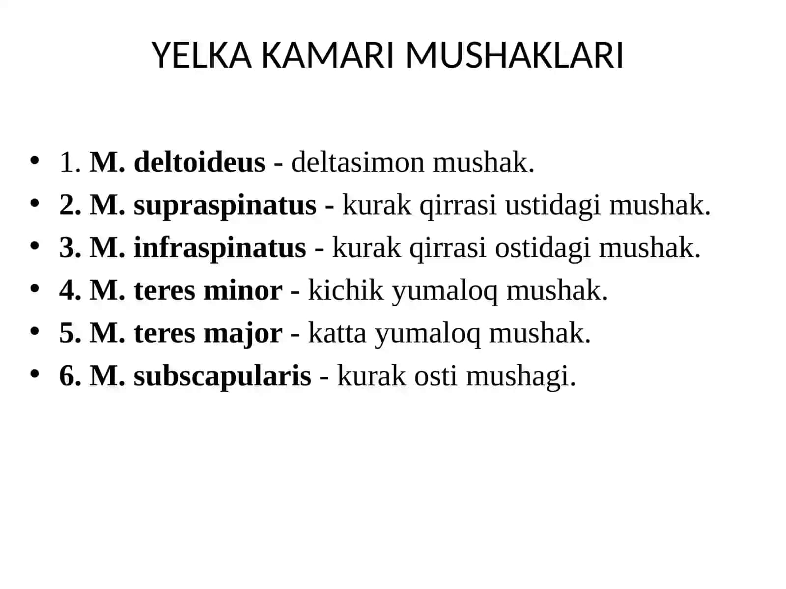 YELKA KAMARI MUSHAKLARI 2