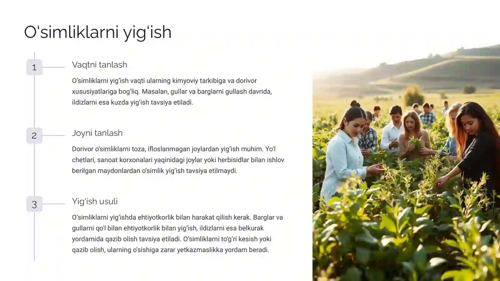 Dorivor o‘simliklar xom ashyosini tayyorlash asoslari 2