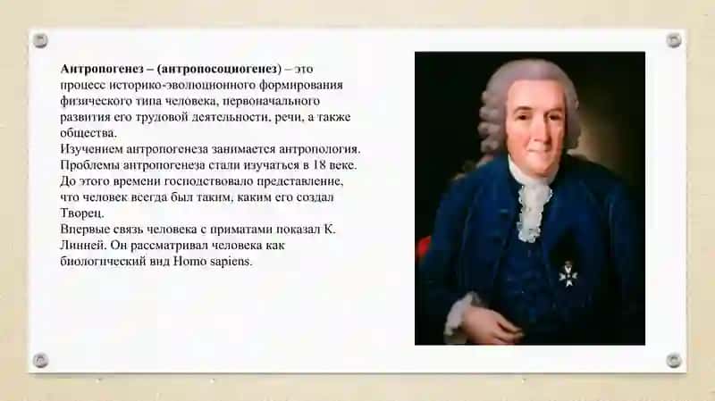 Антропогенез 2