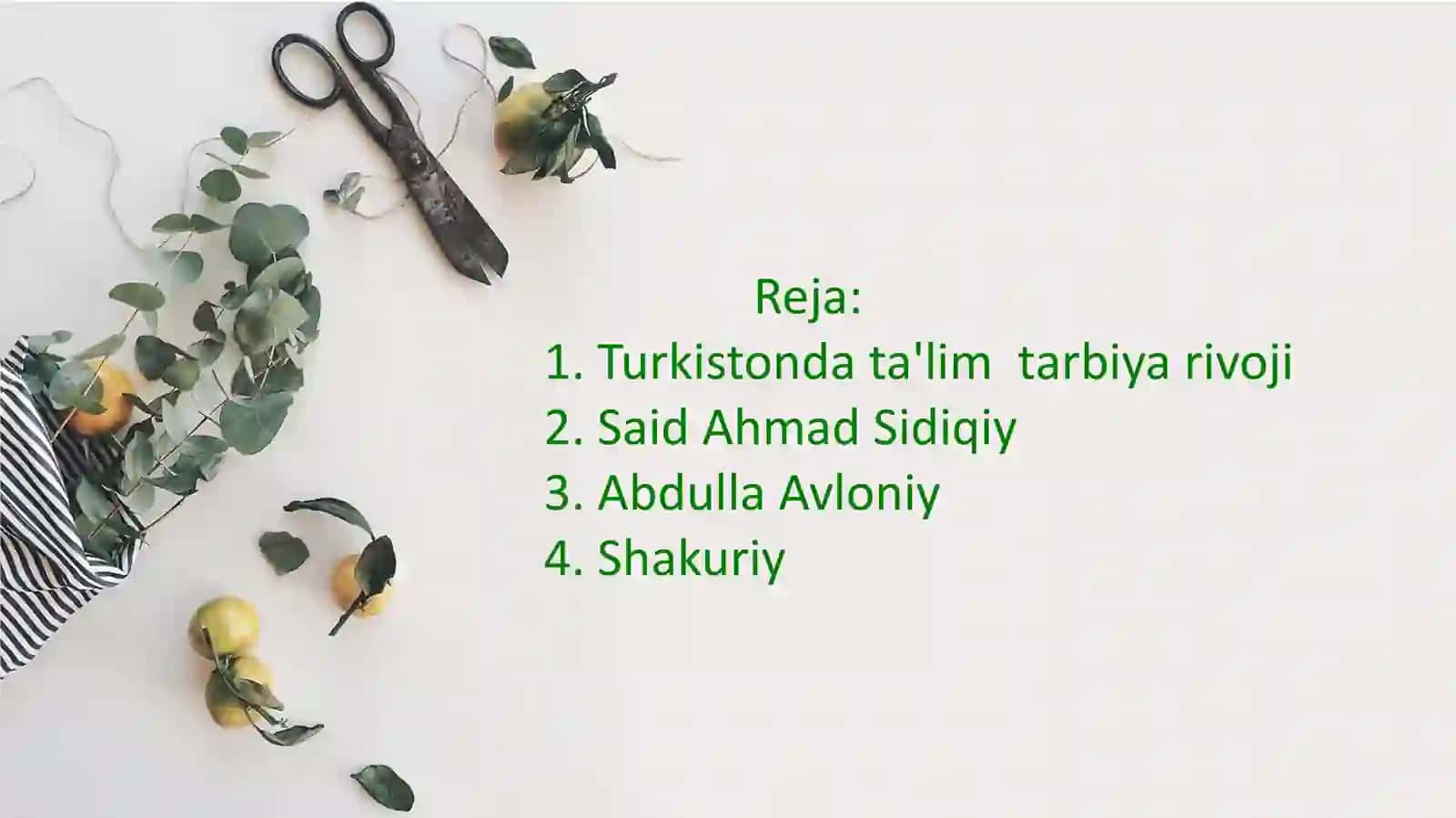 SaidAhmadSidiqiy 2
