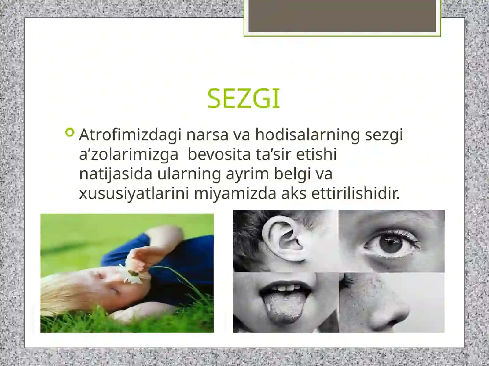 SEZGI 2