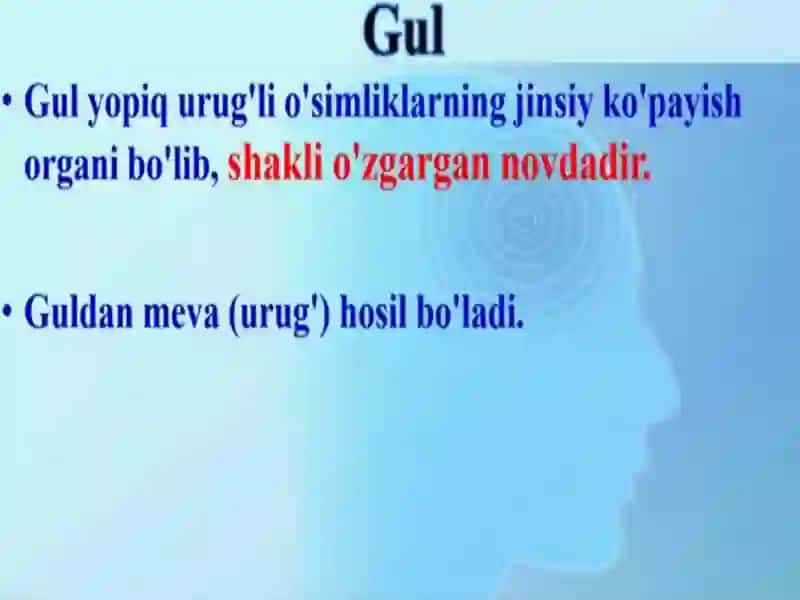 Gul 2