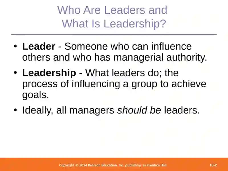 Leader and Manager 2