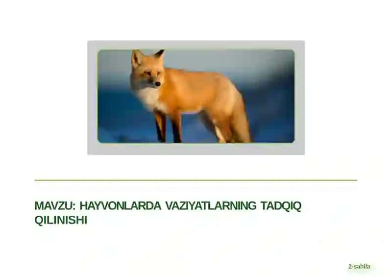 Hayvonlarda vaziyatlarning tadqiq qilinishi 2