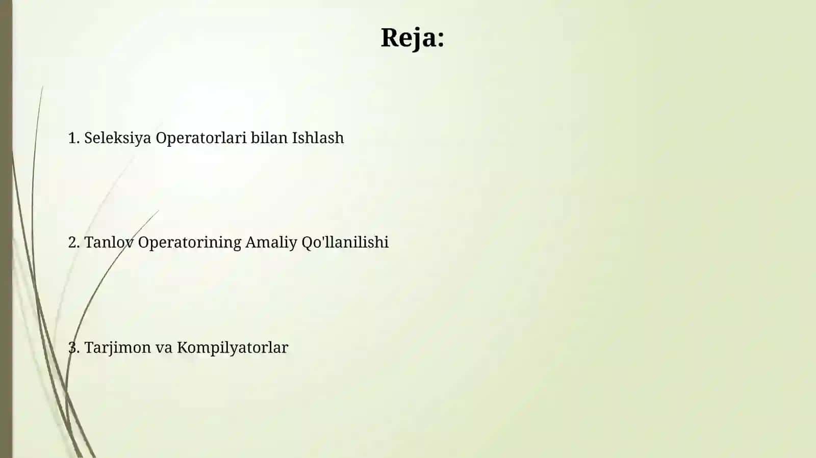 Interpretatorlar va kompilyatorlar. Tanlash operatori bilan ishlash 2