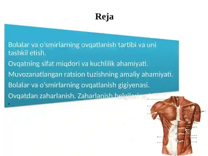 Bolalar va o’smirlarning ovqatlanish tartibi va uni tashkil etish 2