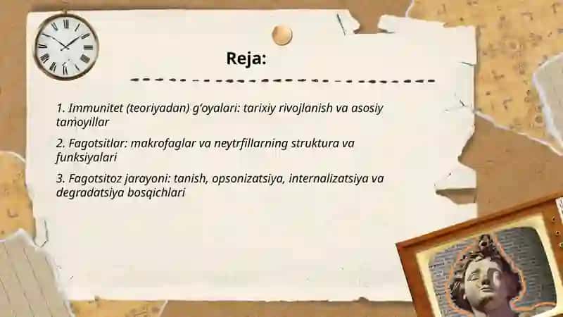 Immunitet (teoriyadan) gʻoyalari 2
