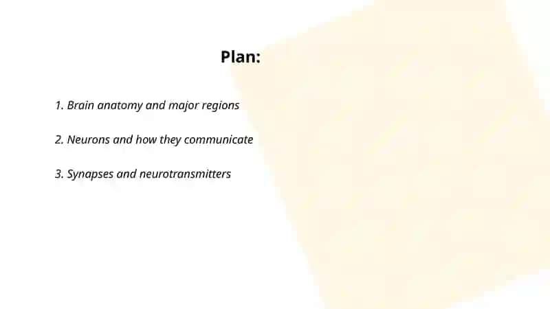 Your amazing brain 2